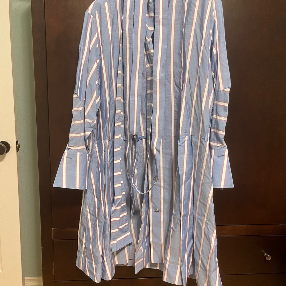 Striped Blue and White Button-Up Dress